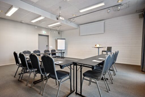 Konferenslokal upp till 25 personer
